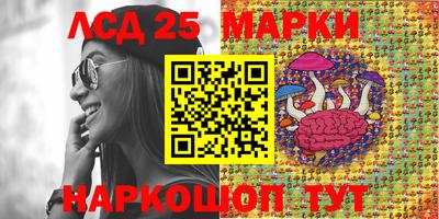 амф Кимры