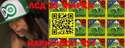 амф Кимры