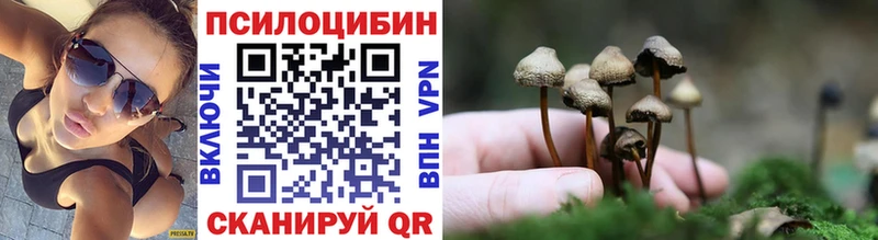 Псилоцибиновые грибы ЛСД  Купить  Холмск 