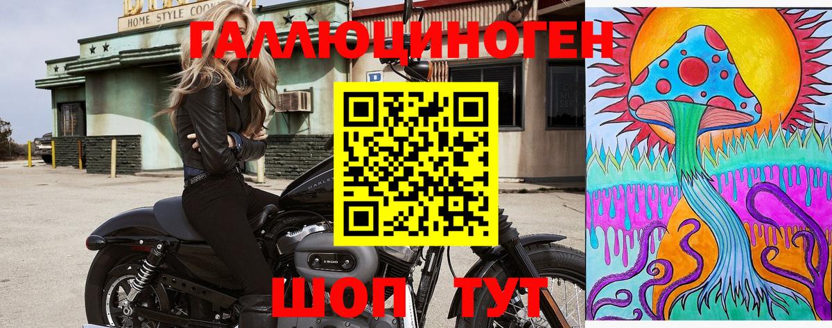 Галлюциногенные грибы мицелий  что такое наркотик  Холмск  Вход с VPN 